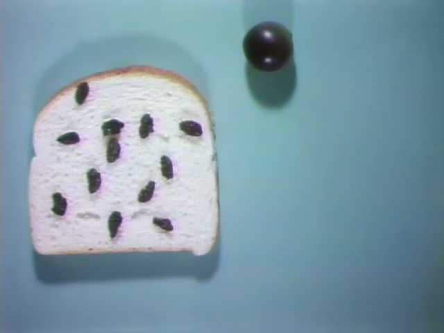 Shot.raisinarmy