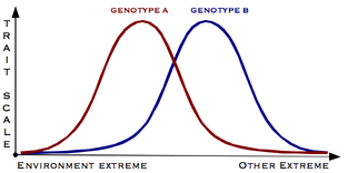 Trait-scale-norm