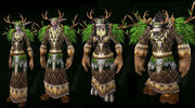 Raid1Druid