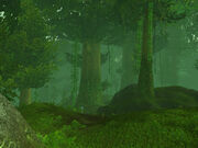 High Wilderness