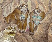 SpotlightSloth-woswfg