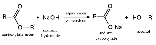 Ester hydrolysis
