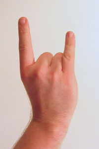 Gesture raised fist with index and pinky lifted