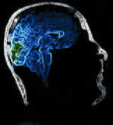 I950_wetware.gif