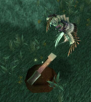 Sparrowhawk Finds Relic