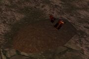 Shallow Grave