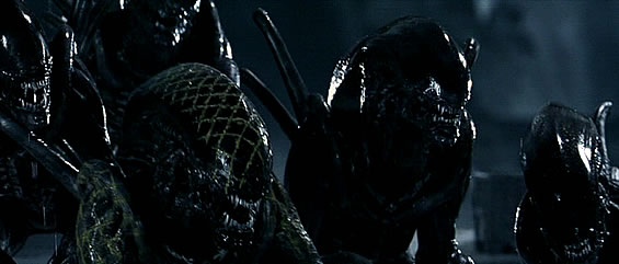 download grid the xenomorph