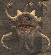 Pet gazer