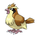 Pidgey