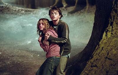 Rhs harrypotter430,0