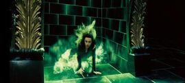 Bella Flooing