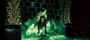 Bella Flooing