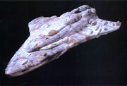 Crucero mon calamari
