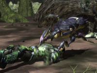 Jungle Spider small