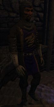 Purple Archer Rutherford