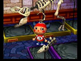 AnimalCrossingMuseum