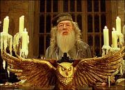 Albusdumble