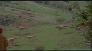 DVDPlay 2009-05-23 16-07-09-88