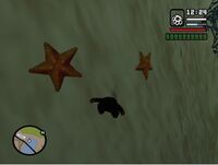 EstreLLas san andreas