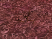 Trampled Skeleton