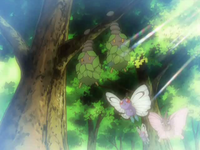 EP568 Burmy