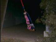 2x7 bungee