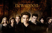 The Cullens New Moon wallpaper