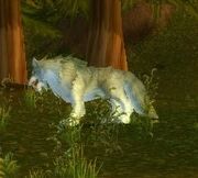 Mangy Silvermane