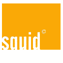 Squid