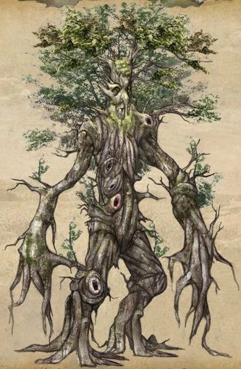 Ent.jpg