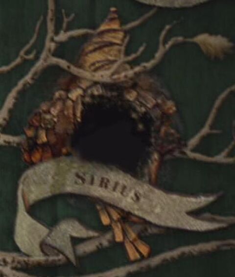 Sirius Disowned
