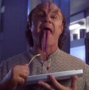 Phlox Zunge