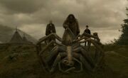 Aragog's funeral 2