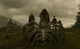 Aragog's funeral 2