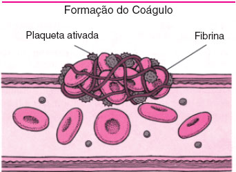 Coag2