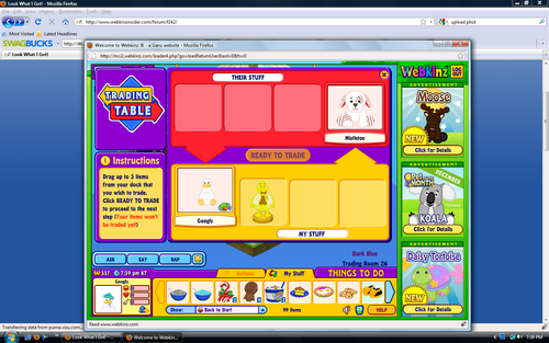 first webkinz