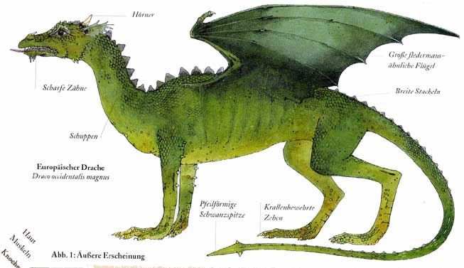 Drache Drachen Wiki Alles über Drachen