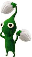 Green Pikmin
