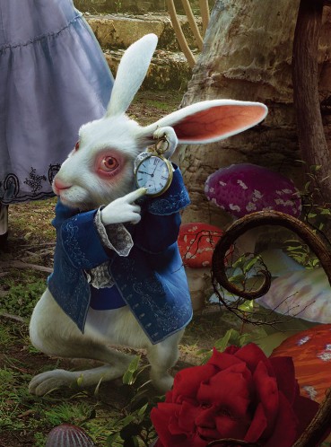 Alice in wonderland rabbit