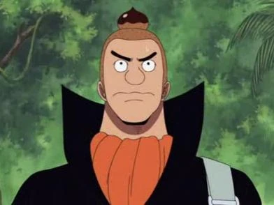 Norland one piece