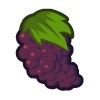 100 Grapes