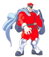 M. Bison (SFA2)