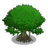 Image - Mangrove Tree-icon.png - FarmVille Wiki - Seeds, Animals