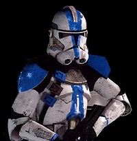 Appo Pauldron