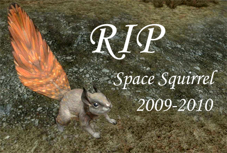 Space_Squirrel.jpg