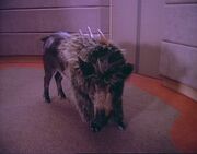 Targ