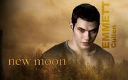 Emmett-Cullen-Wallpaper-twilight-series-7274353-1920-1200-1-