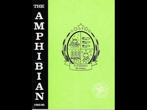 Theamphipian