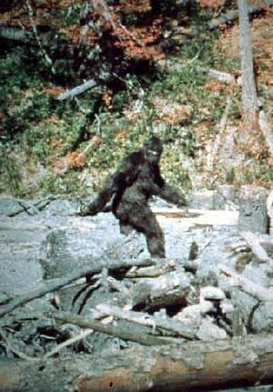 Bigfoot main image