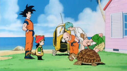 Zita Kame House
